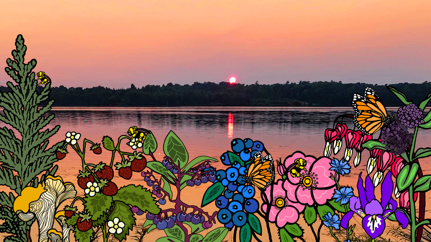 This is Oodenaw's banner. It depicts Rice Lake. Rice Lake is overlaid with designed flowers that are meaningful to the Oodenaw team.