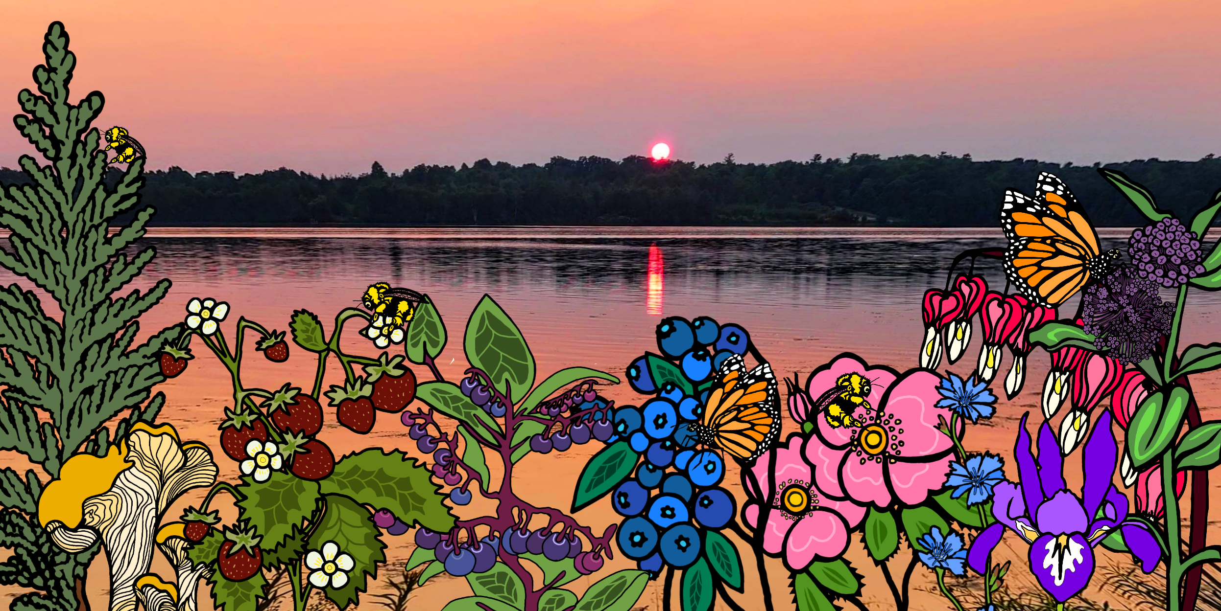 Oodenaw: Urban Indigenous Consulting Cooperative's banner shows Rice Lake overlaid with plants that are meaningful tot he Oodenaw team: Cedar, chanterelle mushrooms, strawberries, salal barries, blueberries, wild roses, chicory, irises, bleeding hearts, and milkweed flowers. There are also butterflies and bees in the image.