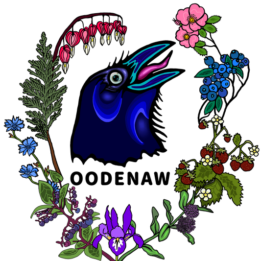 Estrella Whetung's Logo design for Oodenaw. The design shows a crow surrounded by flowers and plants from our homelands.